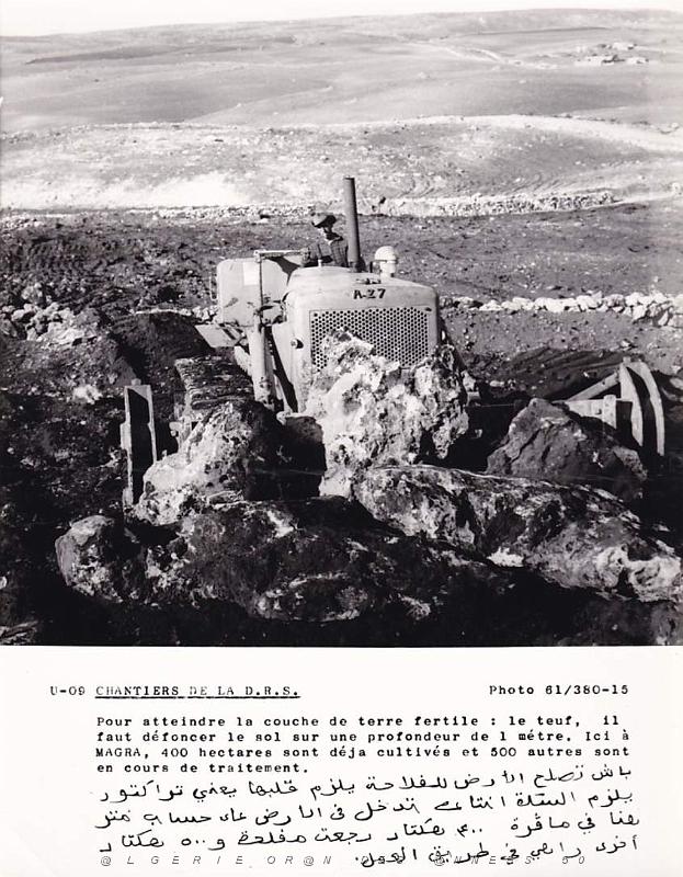 Algerie propagande 067.jpg